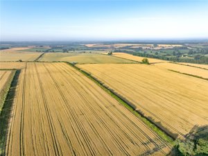 Manor Farm, Lower Heyford picture 6