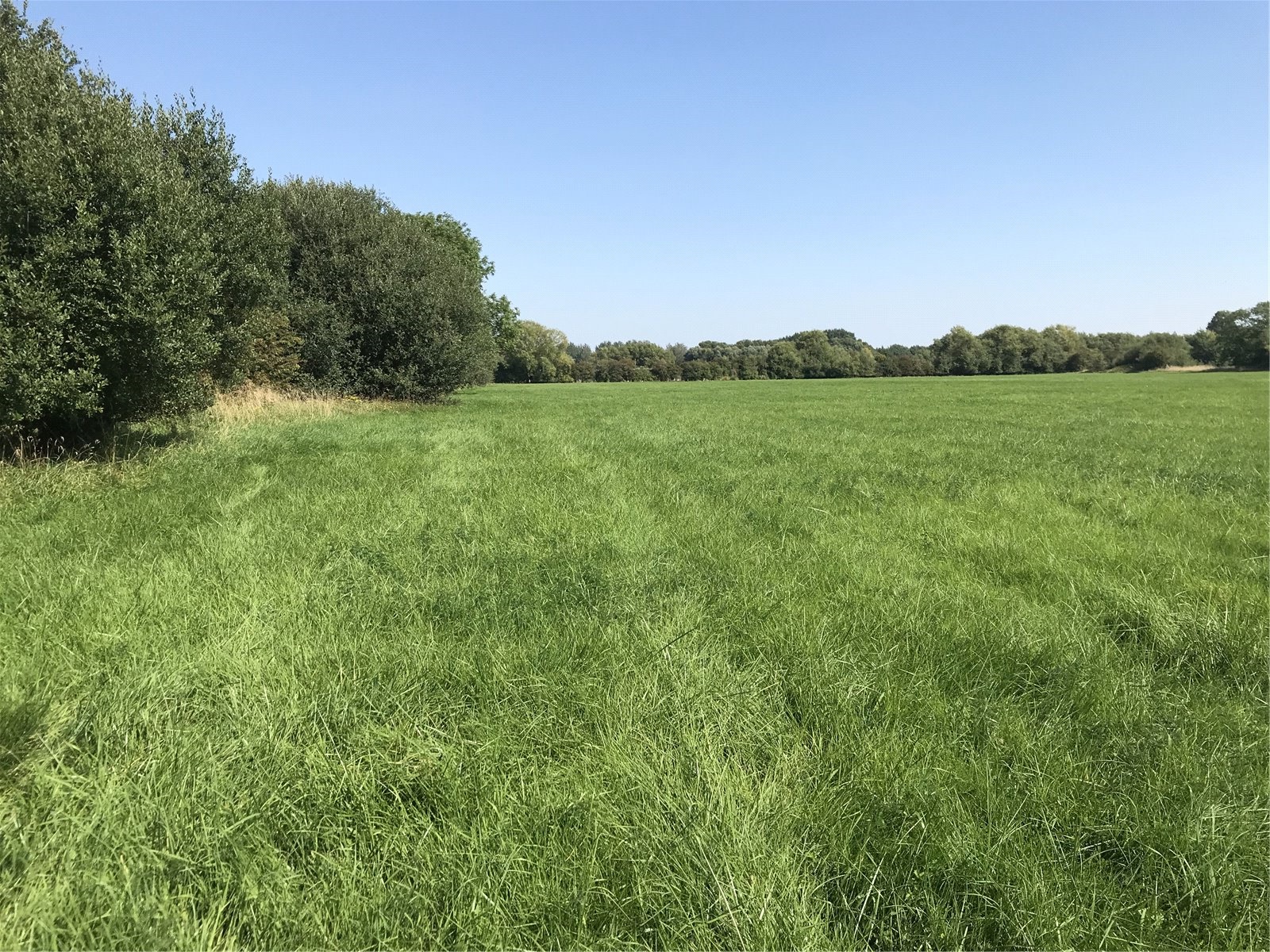 Land At Standlake, Abingdon picture 1