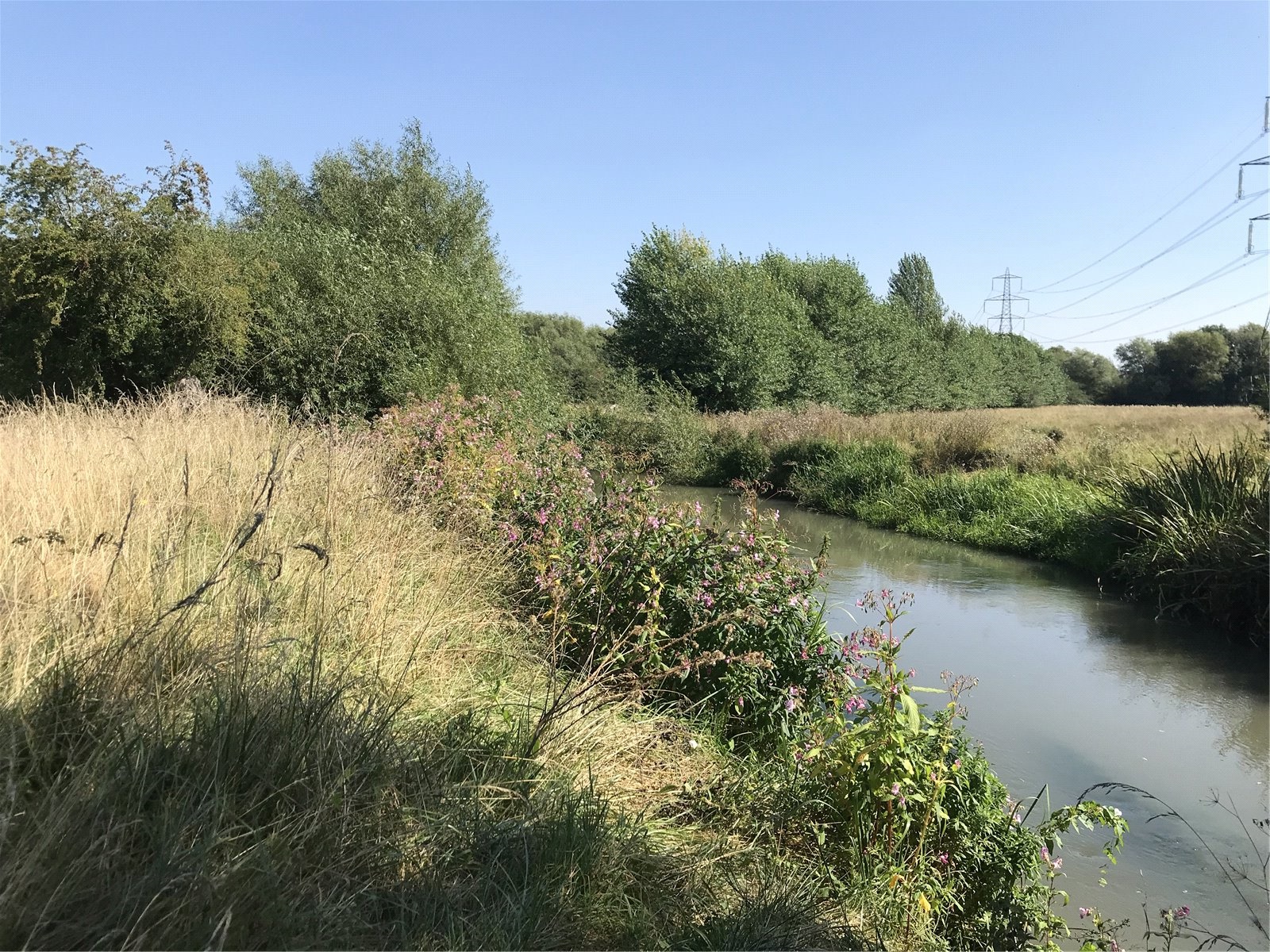 Land At Standlake, Abingdon picture 2