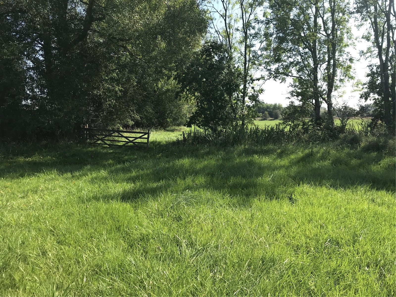 Land At Standlake, Abingdon picture 4