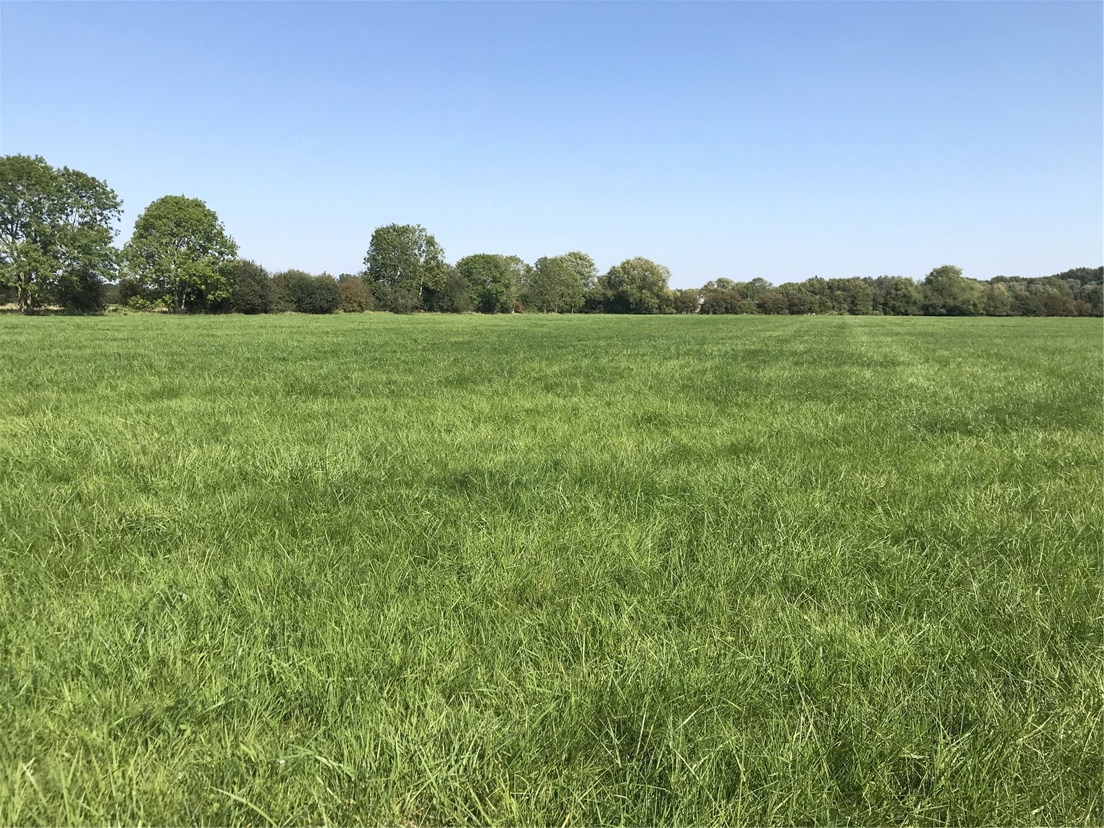 Land At Standlake, Abingdon picture 5