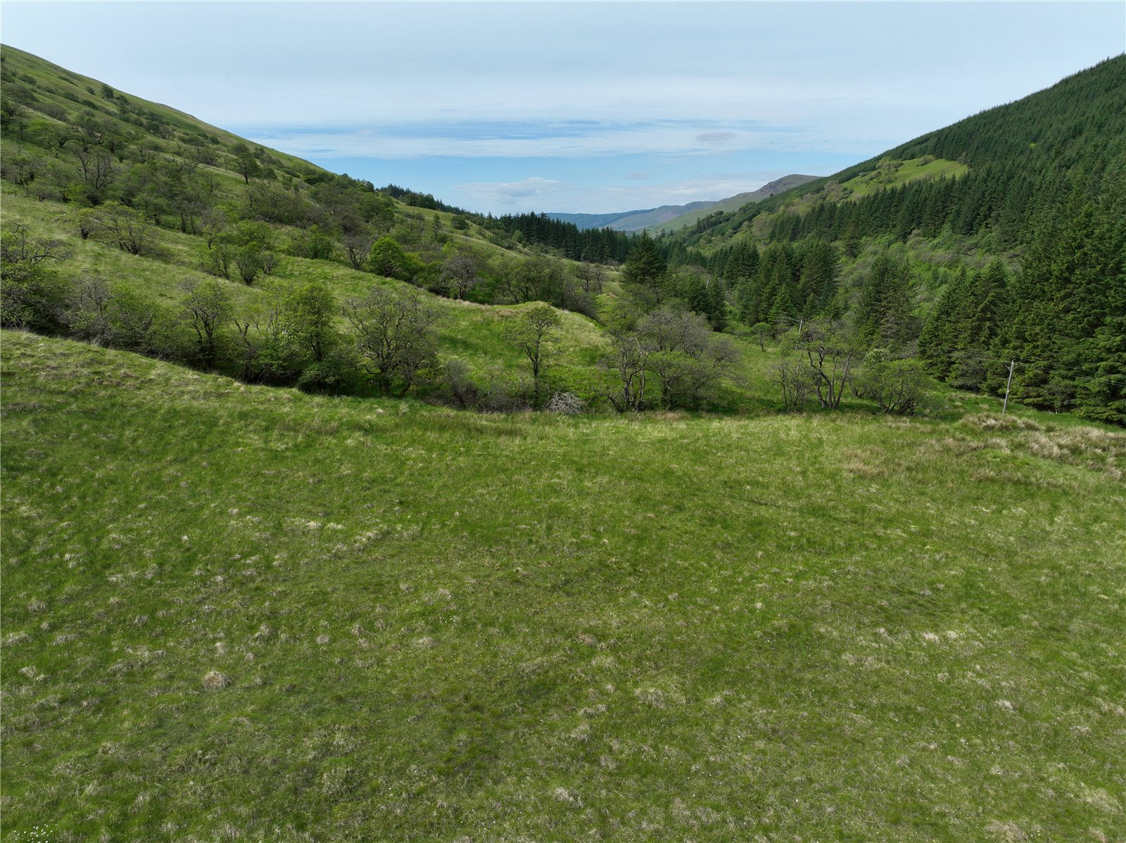 Picture No. 12.jpg