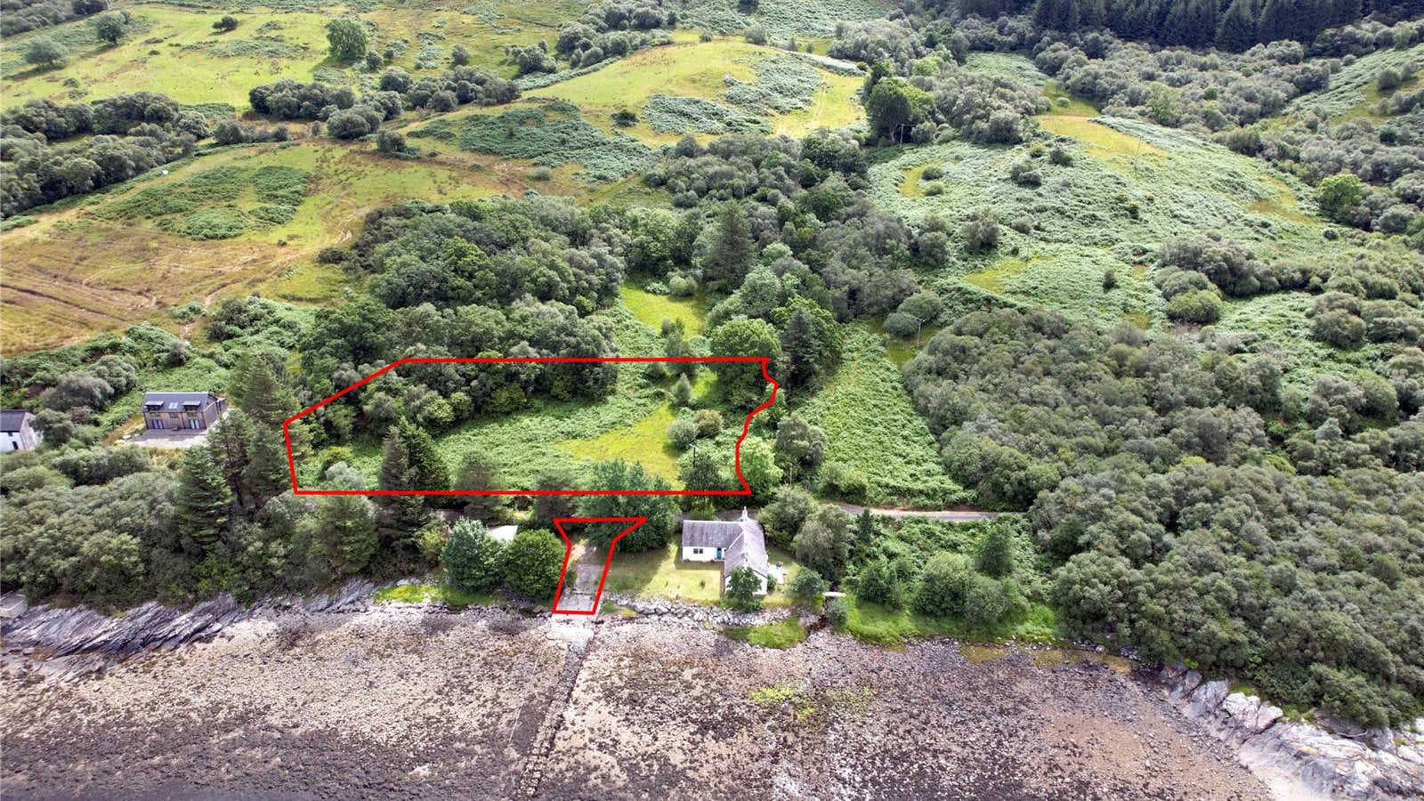 06.jpg 06