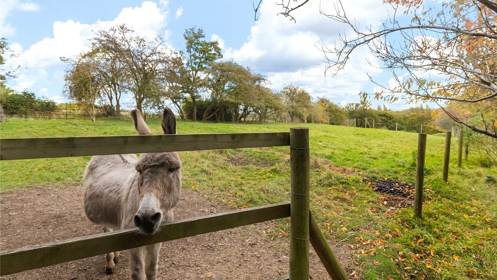 Picture No. 10.jpg Picture No. 10