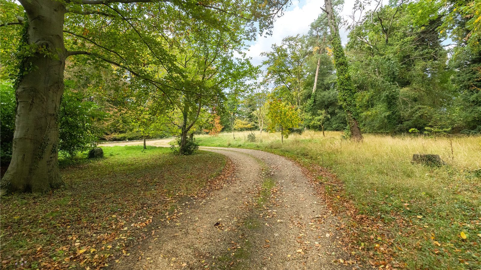 Picture No. 17.jpg Picture No. 17