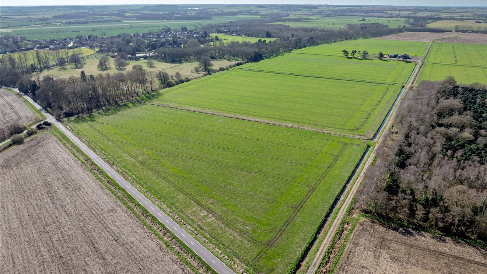 Picture No. 09.jpg Picture No. 09