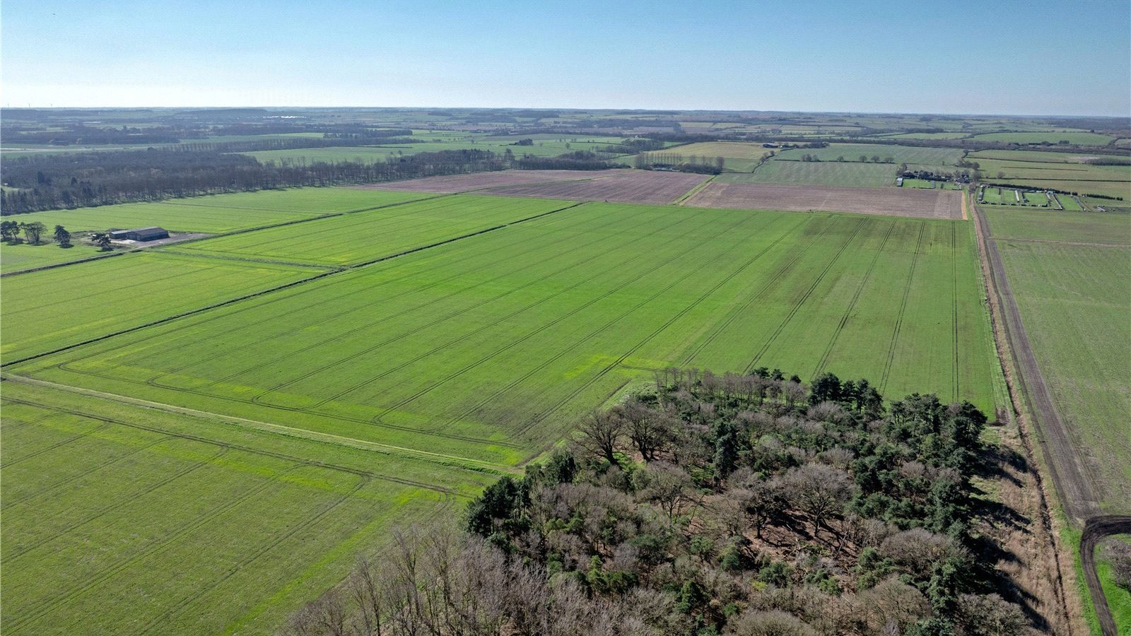 Picture No. 04.jpg Picture No. 04