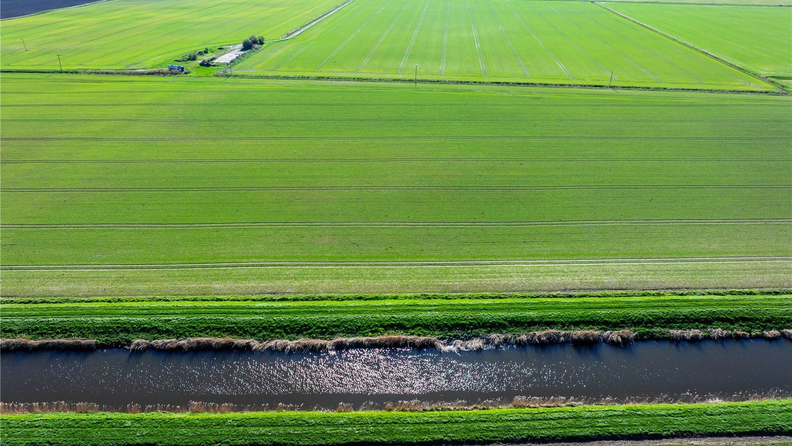 Picture No. 05.jpg Picture No. 05