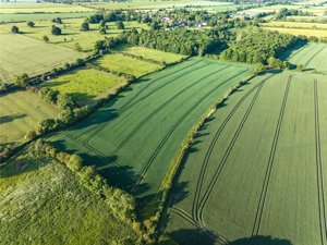 Land At Bainton, Peterborough picture 5