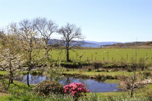 Otter Lodge, Acharacle, Highland picture 3