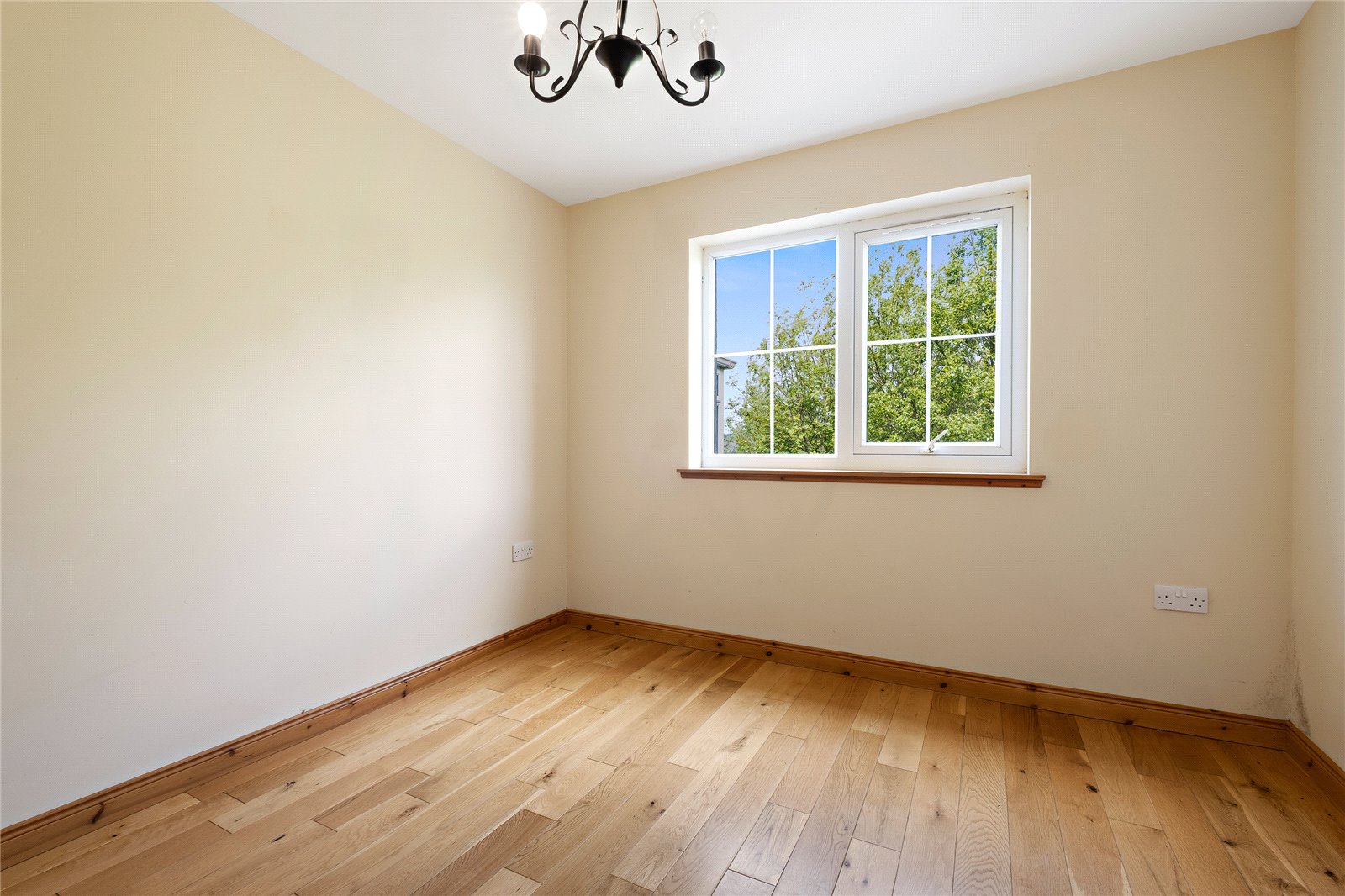 Dining Room.jpg