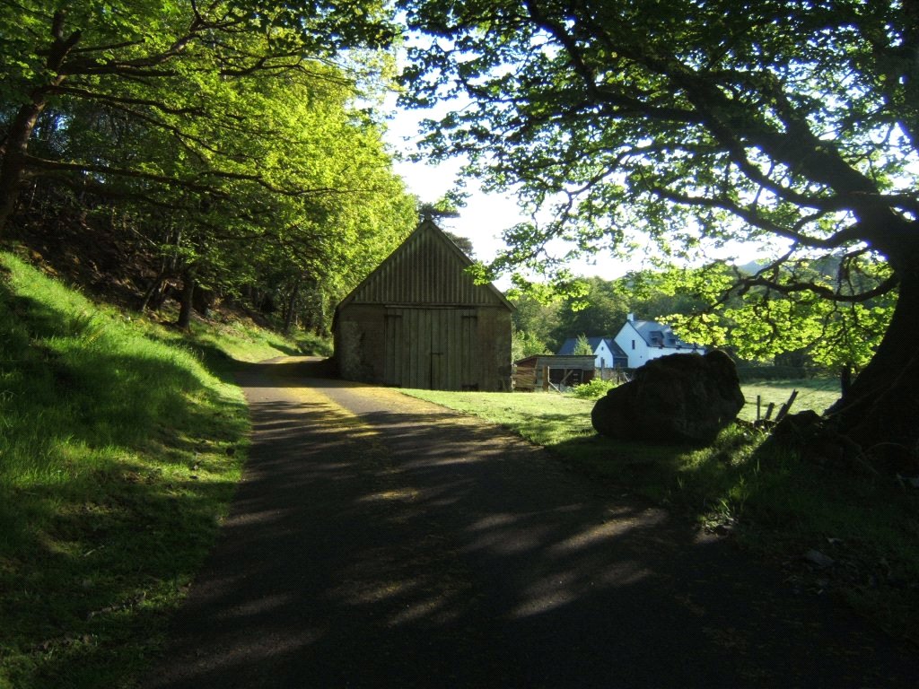 Borrowdale, Arisaig picture 5