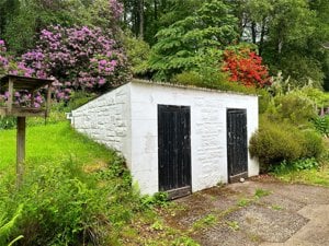 Conifera, Comrie picture 6