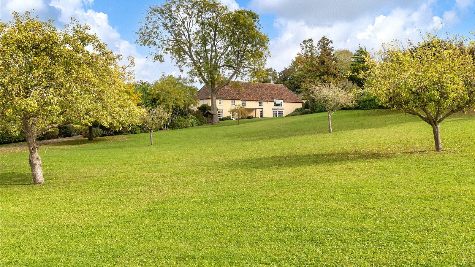 Picture No. 33.jpg Picture No. 33