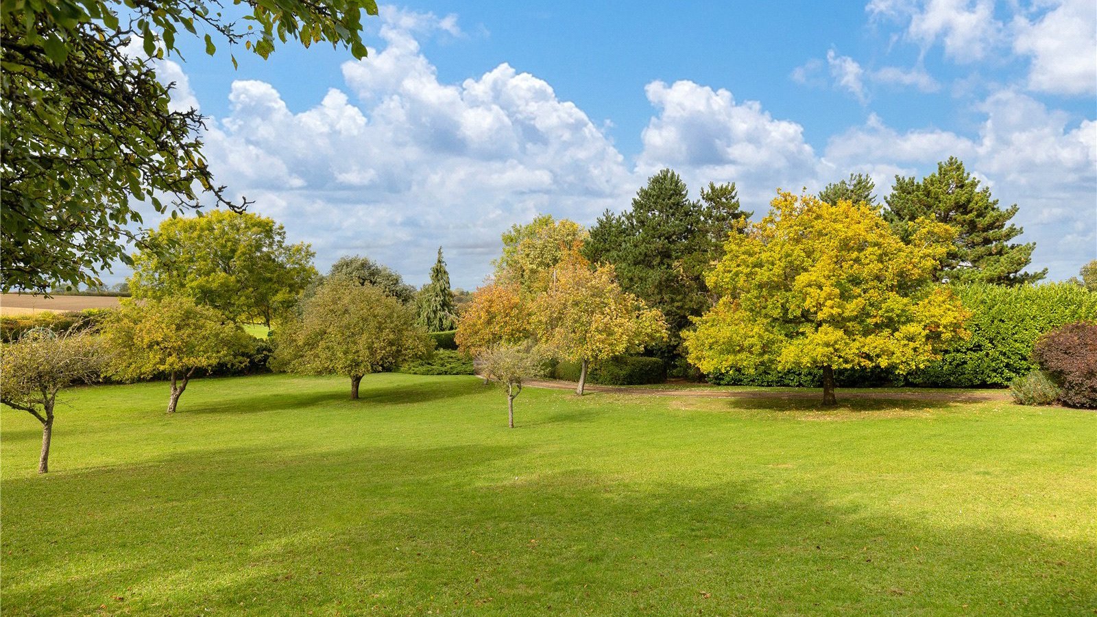 Picture No. 35.jpg Picture No. 35