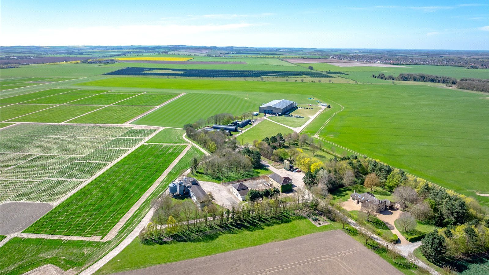 Picture No. 01.jpg Picture No. 01