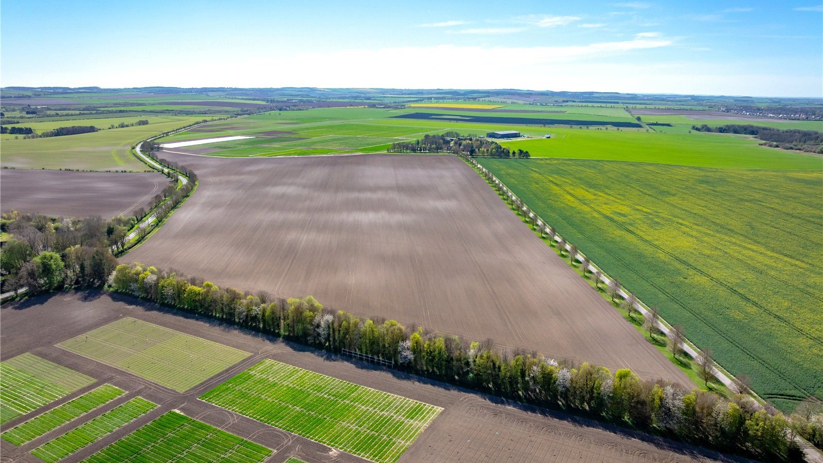 Picture No. 05.jpg Picture No. 05