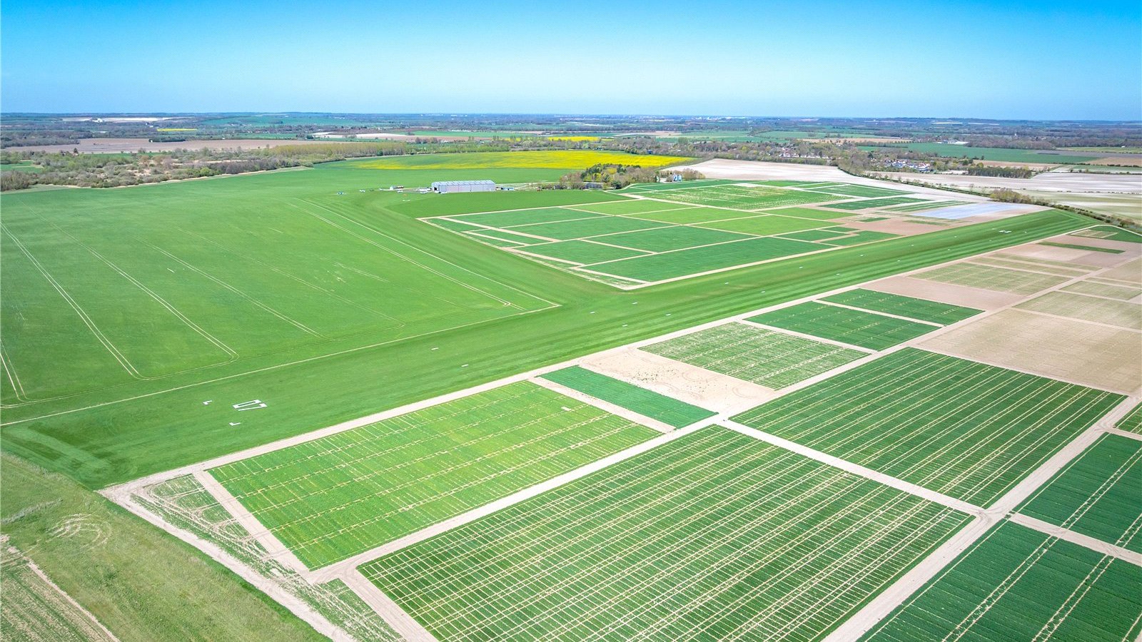 Picture No. 06.jpg Picture No. 06