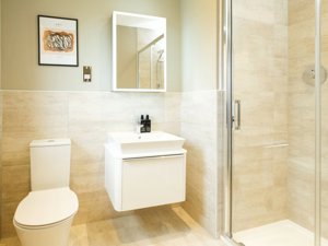 Royston, SG8 9FT picture 6