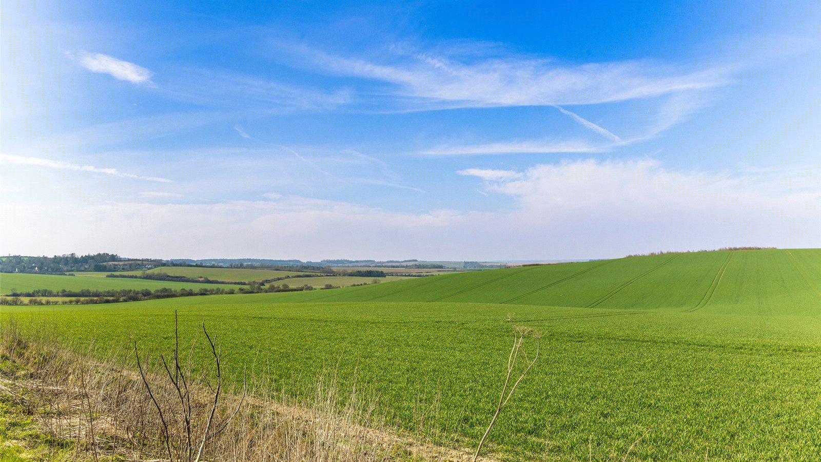 Picture No. 11.jpg Picture No. 11