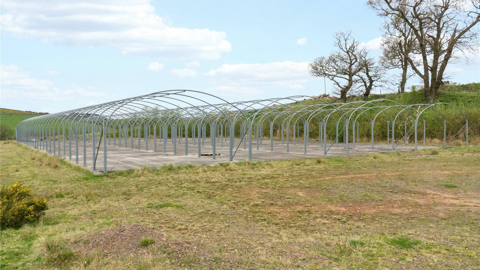 Lot 3 Polytunnels.jpg Lot 3 Polytunnels