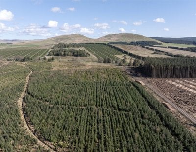 Drone Image