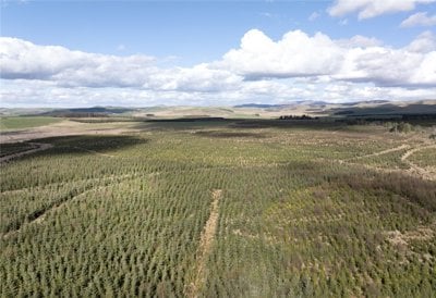 Drone Image