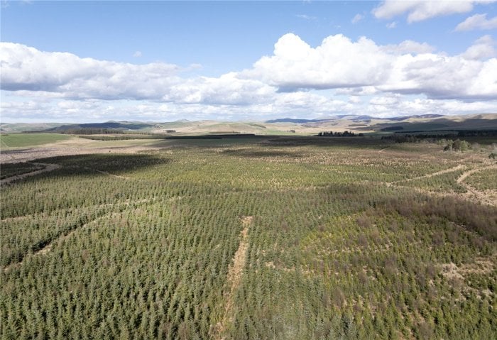 Drone Image