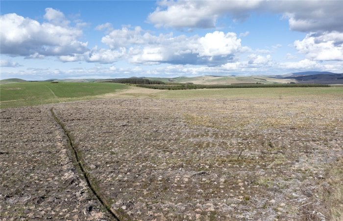 Drone Image