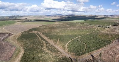 Drone Image