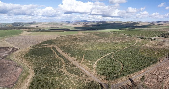 Drone Image