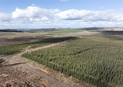 Drone Image