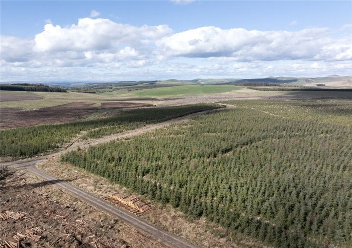Drone Image
