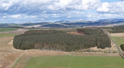 Drone Image