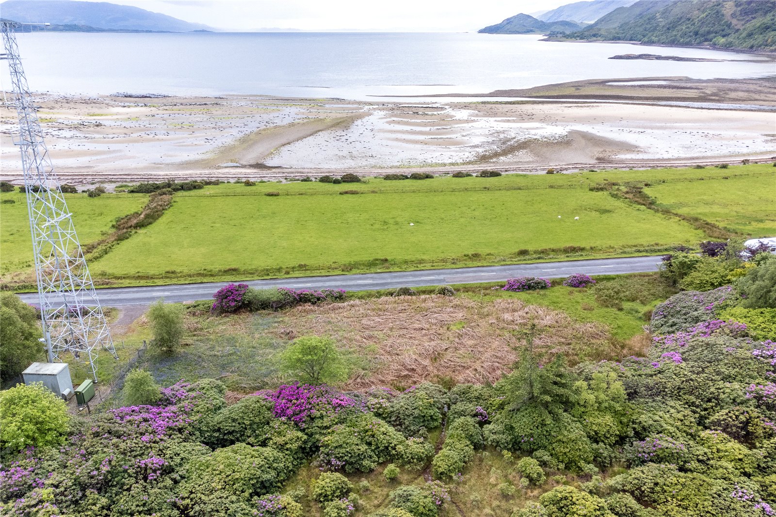 Plot At Ardgour.jpg