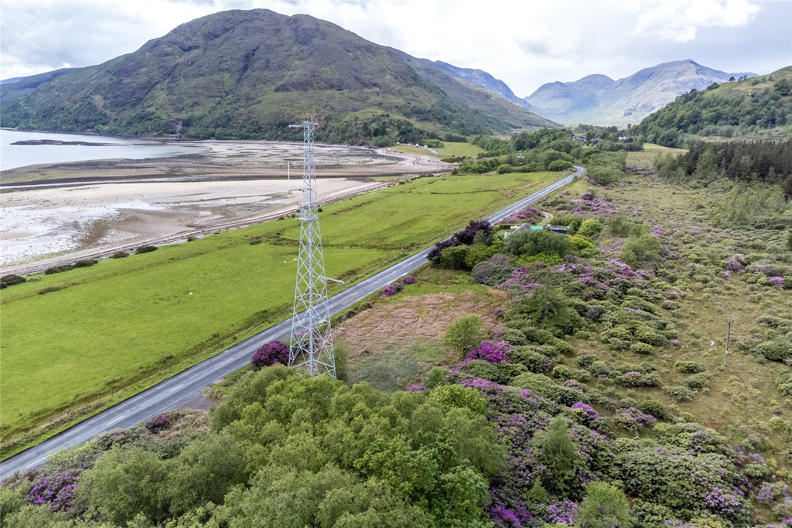 Plot At Ardgour2.jpg