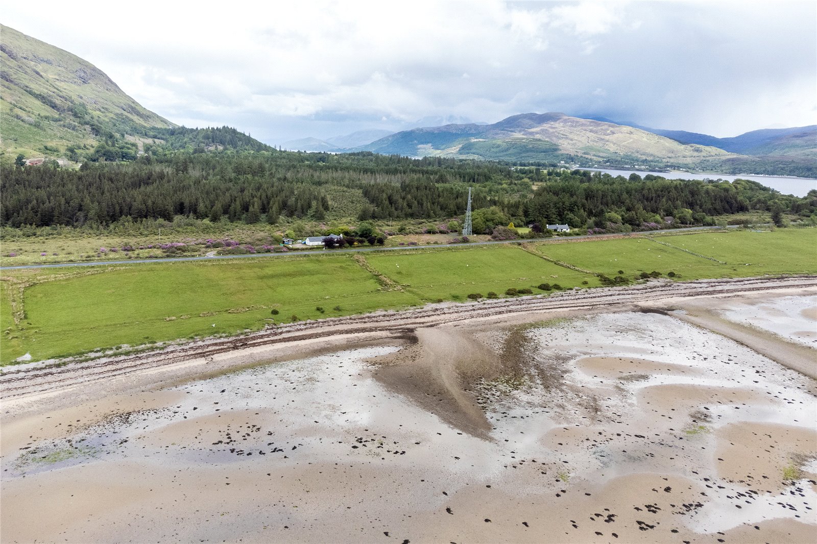 Plot At Ardgour4.jpg