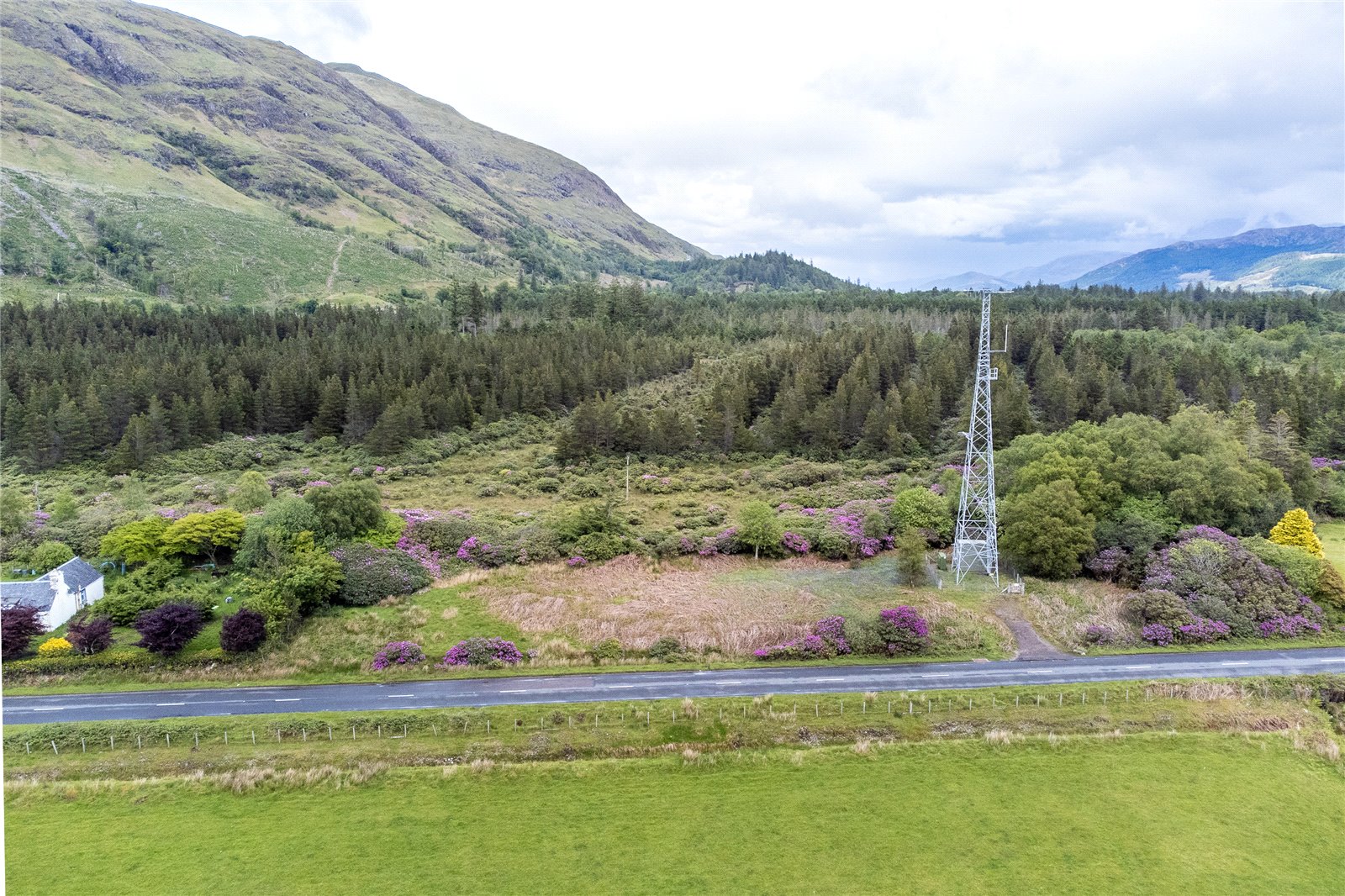 Plot At Ardgour5.jpg