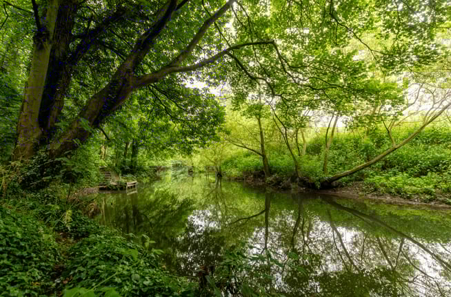 Image of Trumpington 012(2)