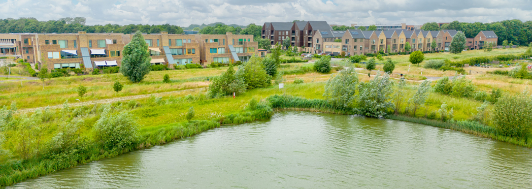 Image of Trumpington 016(2)