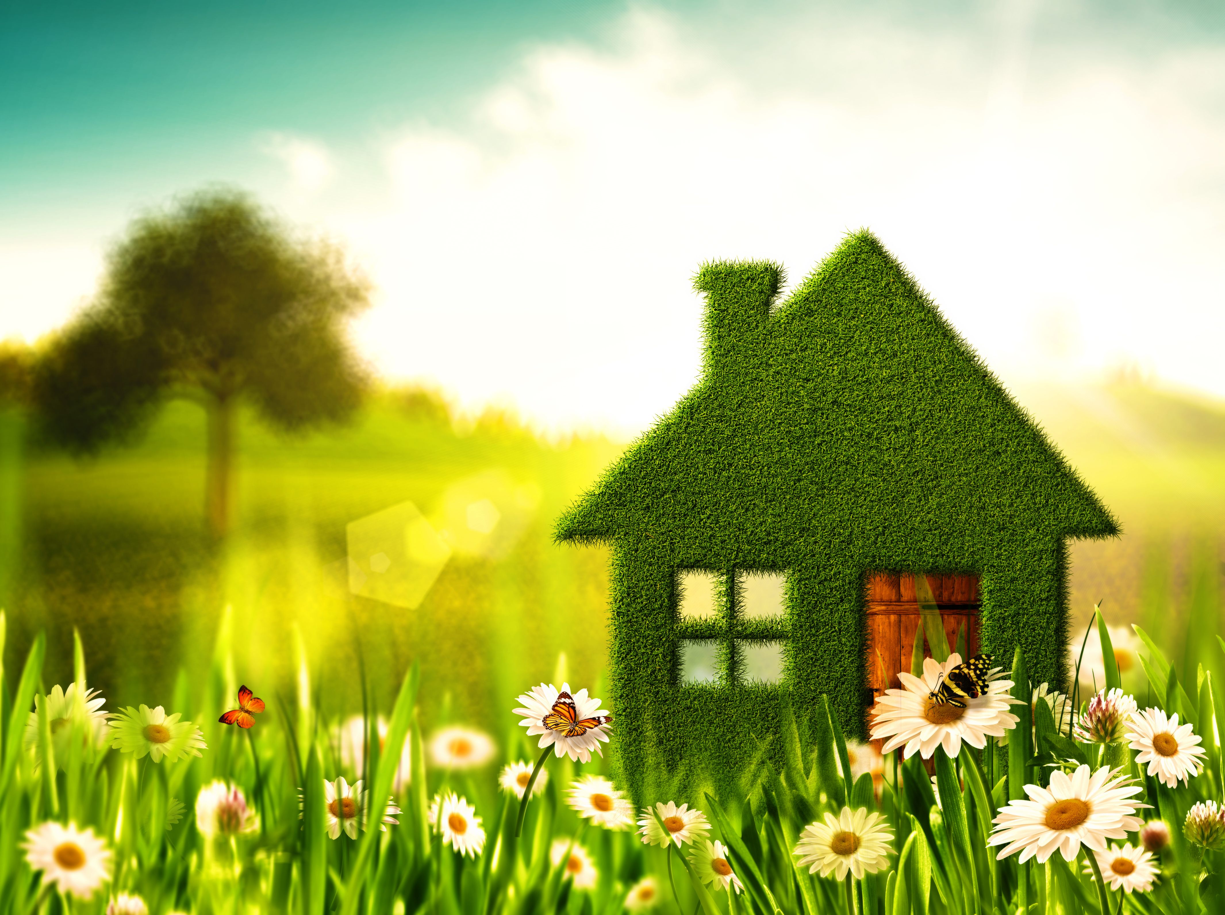 Which sustainable home renovations will add the most value to my property?