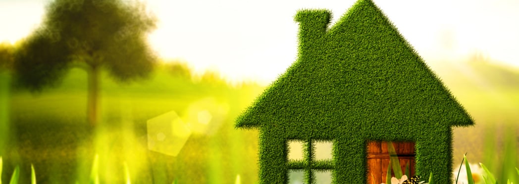 Image of green home(2)