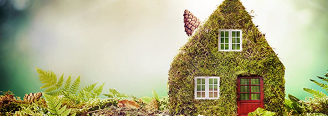 Image of greener-living(2)