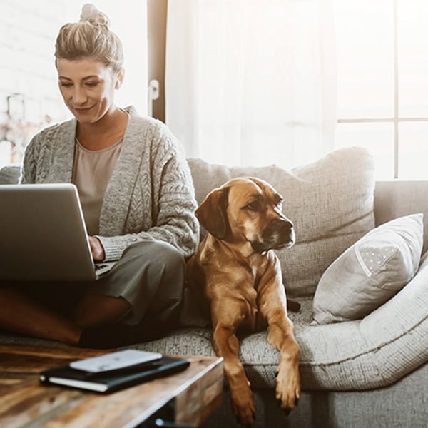 Image of working-from-home_email(2)