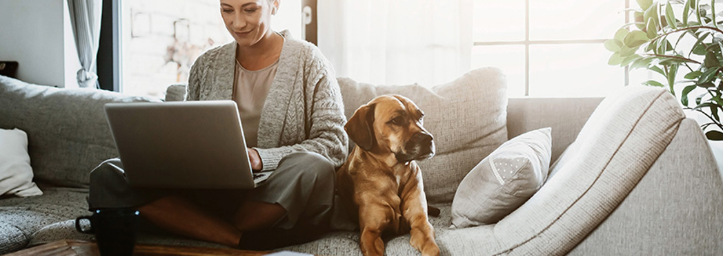 Image of working-from-home_email(2)