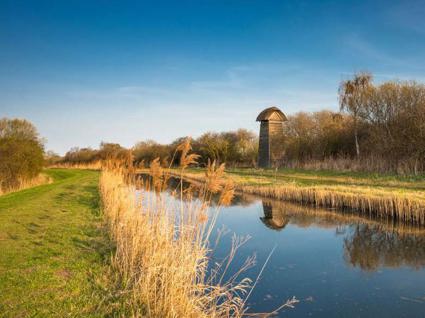 Image of 06160012 - BGH Hawthorns Brochure 2