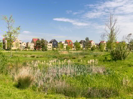 Image of 2025-05-02 Waterbeach-469