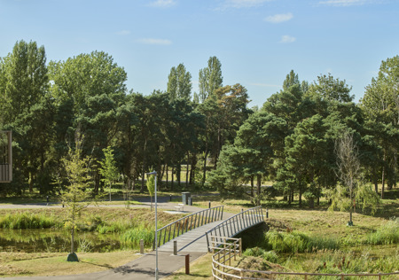 Image of 242108-037