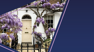 Image of 3464 47 Website Homepage Banner_01