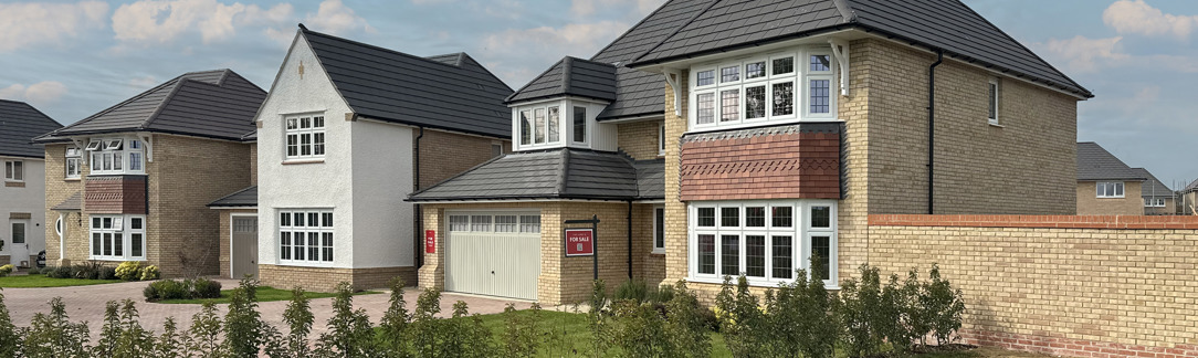 Image of IMG_3723 edit